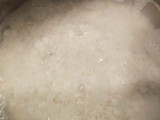 Ketan Nangka