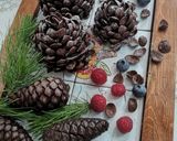 Foto del passaggio 8 della ricetta PIGNE AL CIOCCOLATO E CEREALI 🌲