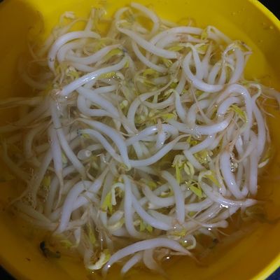 Langkah 5