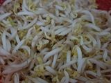 Tumis Toge Tahu