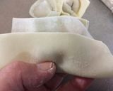 A picture of step 4 of Christmas Chicken and Shrimp Dumplings.