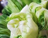 Hình bước làm 1 của món Cách làm cải chua NGON và ĐẸP