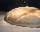 Foto del paso 7 de la receta Pan de cerveza con panificadora Cecotec 1500