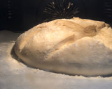 Foto del paso 7 de la receta: Pan de cerveza con panificadora Cecotec 1500