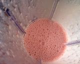 Foto del paso 2 de la receta Mousse de fresas