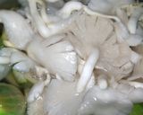 Foto langkah ke 5 dari resep Sayur Bening Jamur.