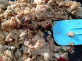 Mendol Tempe