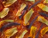 Foto del paso 3 de la receta Pizza de flores de calabaza y anchoas