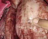 Foto langkah ke 1 dari resep Tumis Cumi.