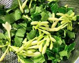 Hình bước làm 1 của món Rau dớn xào tỏi