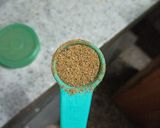 A picture of step 24 of Matar Mushroom.