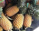 Foto langkah ke 1 dari resep Isian nastar “ Selai Nanas “.