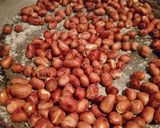 Hình bước làm 4 của món Mì Quảng Gà - Đậm Đà Hương Vị Miền Trung