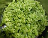 A picture of step 2 of Methi Mutter Dhokla.