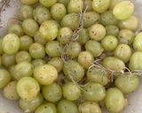 Foto del paso 3 de la receta Galette de Queso Roquefort y Uvas Blancas !!!