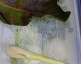 Foto langkah ke 2 dari resep Sayur Lodeh.