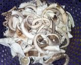Foto langkah ke 1 dari resep Gurita cabe ijo 🐙.