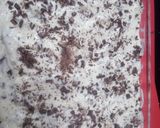 Foto del paso 6 de la receta: Tiramisú muy rico sin horno ni huevos
