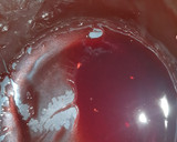Foto del paso 3 de la receta: Bondiola de cerdo agridulce con salsa reducción de malbec
