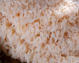 A picture of step 1 of Zafrani Pulao.