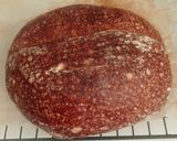 Foto langkah ke 19 dari resep Basic Chocolate Sourdough Bread (88%).