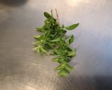 Une image de l'étape 1 de Sauce salade moutarde de Bourgogne, framboise, basilic et persil frais.