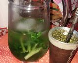Foto del paso 1 de la receta: Tereré