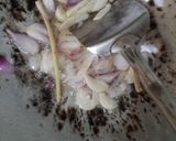 Foto langkah ke 2 dari resep Santan Terong Kacang Panjang Ikan Asin.
