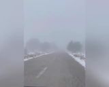 عکس مرحله 1 از دستور برف و شیره😋