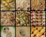 Foto langkah ke 10 dari resep Kroket kentang daging sapi.