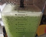 A picture of step 5 of Weight Loss Liquado.
