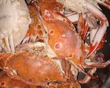 Foto langkah ke 1 dari resep Kepiting balado ala ala.