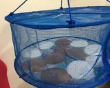 หอยเชลล์ย่างซอสซีฟู้ด วิธีทำสูตร 3 รูป