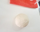 Foto del paso 1 de la receta: Gyozas rellenas con carne de cerdo