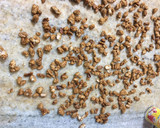 Foto del paso 4 de la receta: Garrapiñada de maní!!