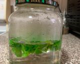 Foto del paso 1 de la receta: Infusión de albahaca(mi digestivo favorito)