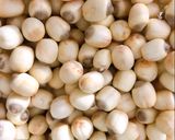 Hình bước làm 1 của món Sữa hạt sen 🥛