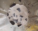 Foto langkah ke 2 dari resep Cake Oreo w/ whipped cream home made ekonomis.