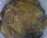 Foto del paso 10 de la receta: Favoritas de much@s: Warak Dawali / Hojitas de Parra rellenas