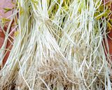 मुग बीन स्प्राऊट्स (mung beans sprouts recipe in marathi)_ रेसिपी स्टेप 8 फोटो 