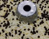 Foto langkah ke 4 dari resep Chocobanana.