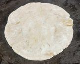 A picture of step 3 of Sattu Paratha.