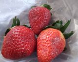 Foto del paso 5 de la receta: Tarta de frutillas!!!🍓🍓🍓con crema de frutillas