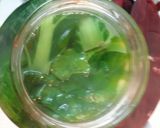 A picture of step 4 of Mustard Greens Preservation.