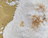 Foto del paso 1 de la receta: Carrot Cake 🥕