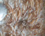 A picture of step 2 of Vermicelli bites.
