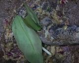 Foto langkah ke 1 dari resep Oseng kikil cabe hijau.