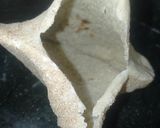 صورة لخطوة 3 من وصفة حواوشي