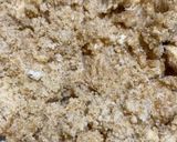 Foto del paso 1 de la receta: Crumbl cookies (galletas de manteca)