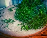A picture of step 2 of Wisewoman Dill Finishing Salt.